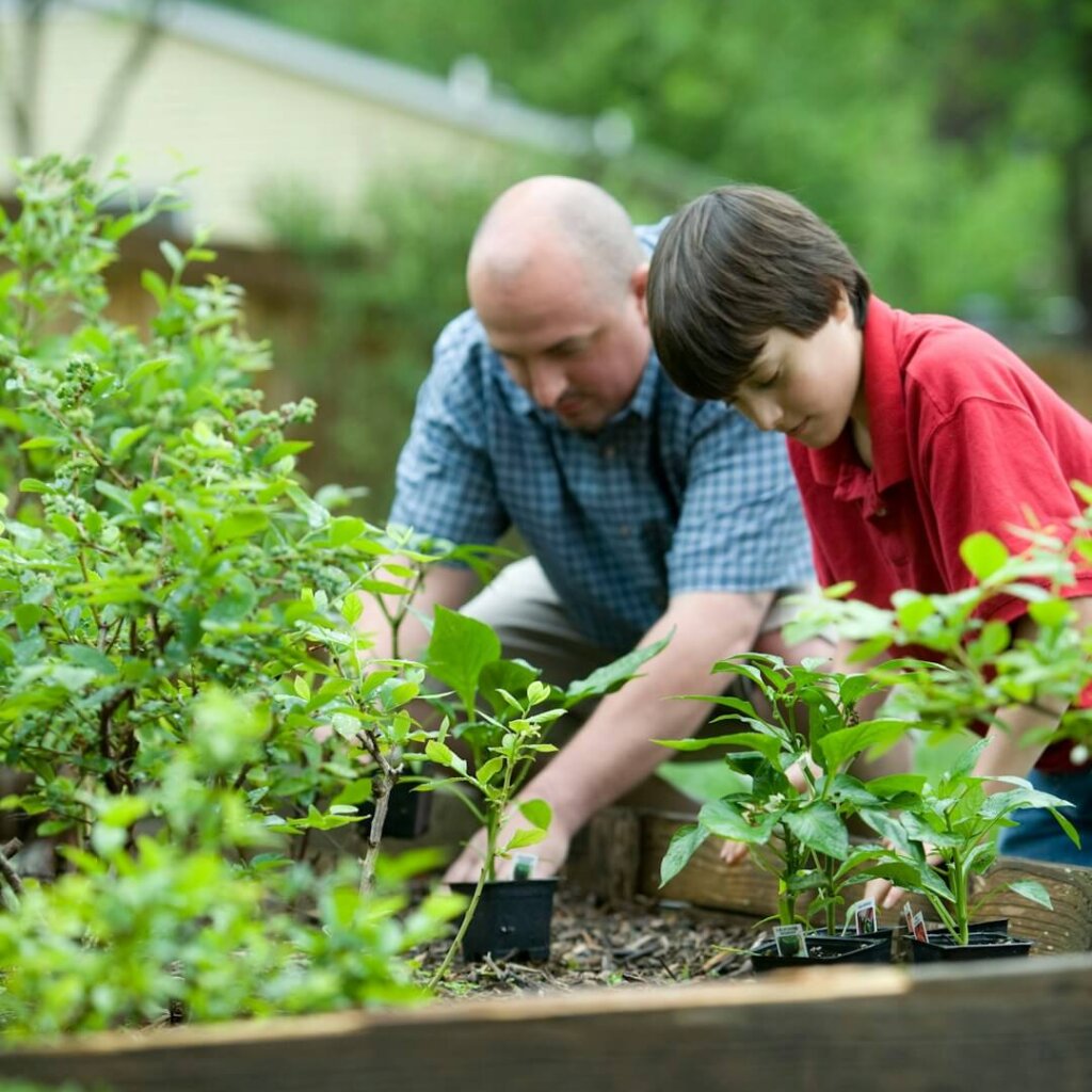 An adult and child planting together in a garden, symbolizing restoration, resilience, and the rebuilding of life from the ground up.
